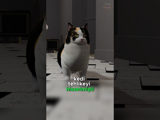 Kedi Hayatını Kurtardı! 😱🔨🐱🐍