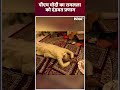 पीएम मोदी का रामलला को दंडवत प्रणाम, वीडियो तेजी से वायरल #PMModi #RamMandir #Ayodhya #Shorts  - 00:20 min - News - Video
