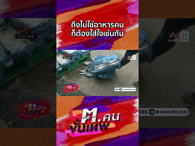 แม้จะไม่ใช่อาหารที่คนกินแต่ก็ต้องใส่ใจไม่ต่างกัน | Shorts ฅ.คนขั้นเทพ