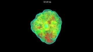 NuSTAR is showing that exploding stars slosh around before blasting apart.This 3-D computer simulation demonstrates how the supernova explosion might look.

Related release: http://www.nasa.gov/jpl/nu