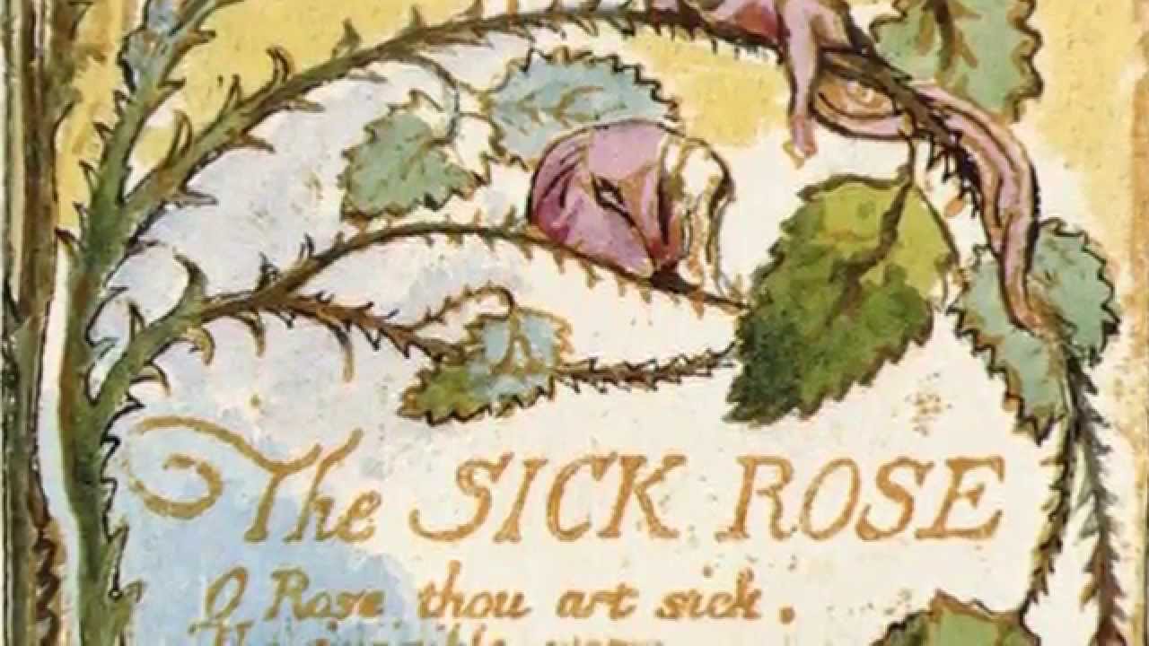 Essays on the sick rose by william blake