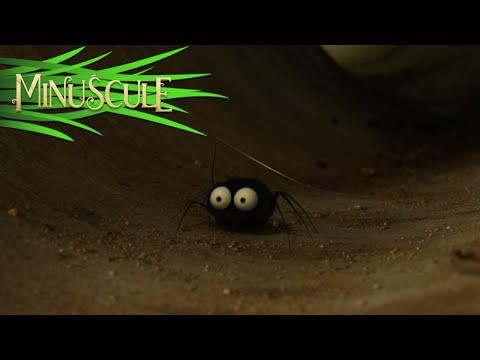 Miniscule - kompilcia 12