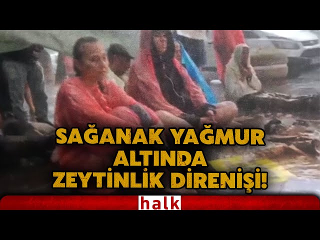 YÜREK YAKAN GÖRÜNTÜLER: Zeytinlikleri korumak için Ankara’ya gelenler yağmura yakalandı!