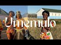 Umemulo Ka Nana Buthelezi  KWANONGOMA