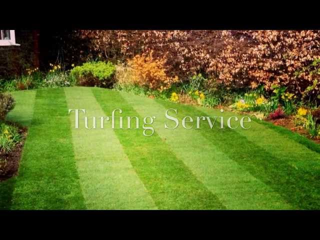 Landscaping Services in Dorking