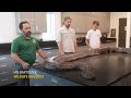 Largest python in Florida history discovered  - 01:40 min - News - Video