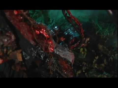 Blood Pigs'