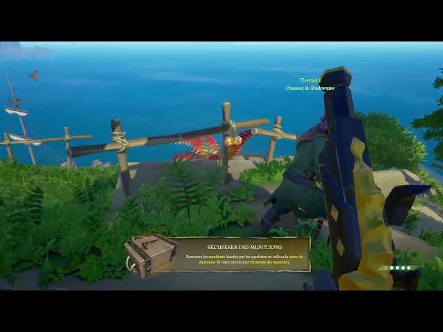 VOD - Laink et Terracid // Sea of Thieves