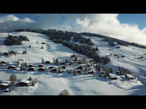 Property video