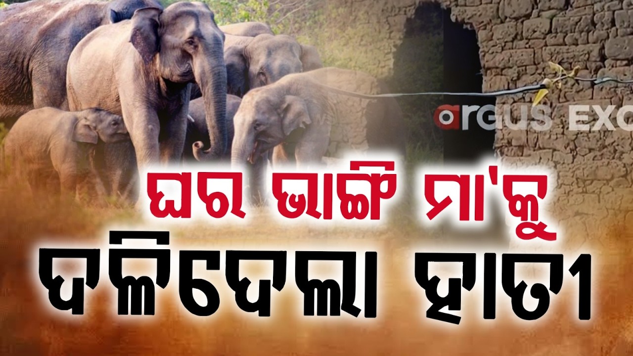 Tragedy in Shukruli: Rogue Tusker Tramples Woman to De@th; Toddler Fighting for Life | Argus News
