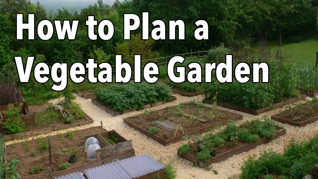  design a vegetable garden layout