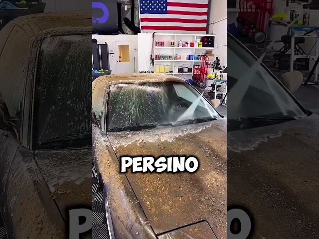 IL Regalo Più Bello Al Mondo! 🥲🎁 #shorts #virale #perte