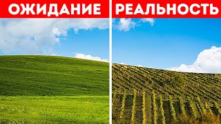 Истории, стоящие за самыми известными фотографиями