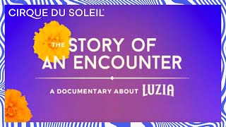 Story of an Encounter Web Series Teaser LUZIA by Cirque du Soleil | Cirque du Soleil