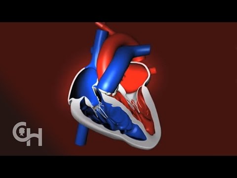 Upload mp3 to YouTube and audio cutter for How a Normal Heart Pumps Blood -- The Children's Hospital of Philadelphia download from Youtube