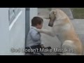 Magnifique et tendre moment entre un chien et un enfant atteint du syndrome de Down Belle