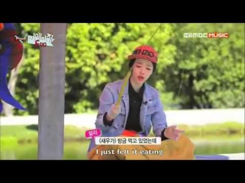 sulli cute