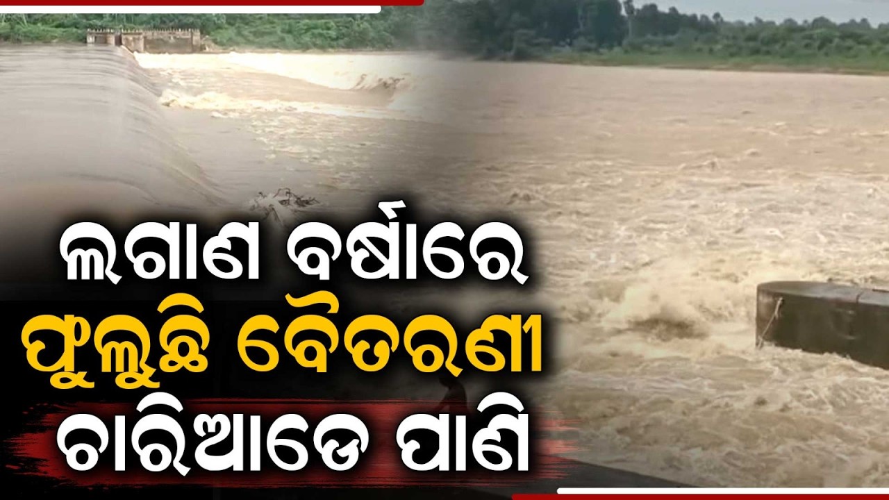 Baitarani River Swells Above Danger Mark; 10 Schools Closed In Bhadrak | Argus News