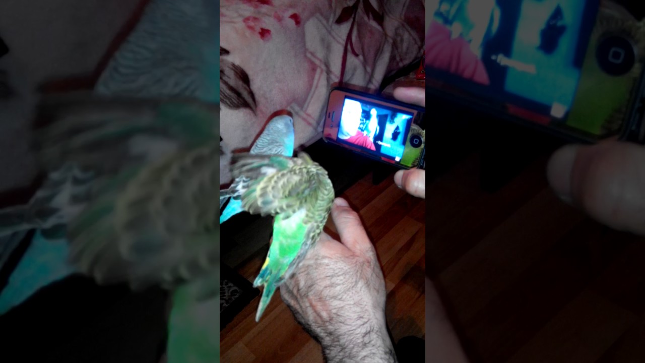 как-нибудь. Согласен, очень больно в жопу видео вас часто возникают