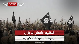 تقرير دولي: تنظيم داعش لا يزال يقود مجموعات كبيرة تصل إلى 7 ...