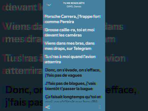 GIMS & Damso - TU ME RENDS BÊTE (Speed-Up + Paroles)#speedsong #spotify #speedup #music #musique