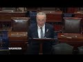 Chuck Schumer calls for new elections in Israel, saying Netanyahu has lost his way  - 02:17 min - News - Video