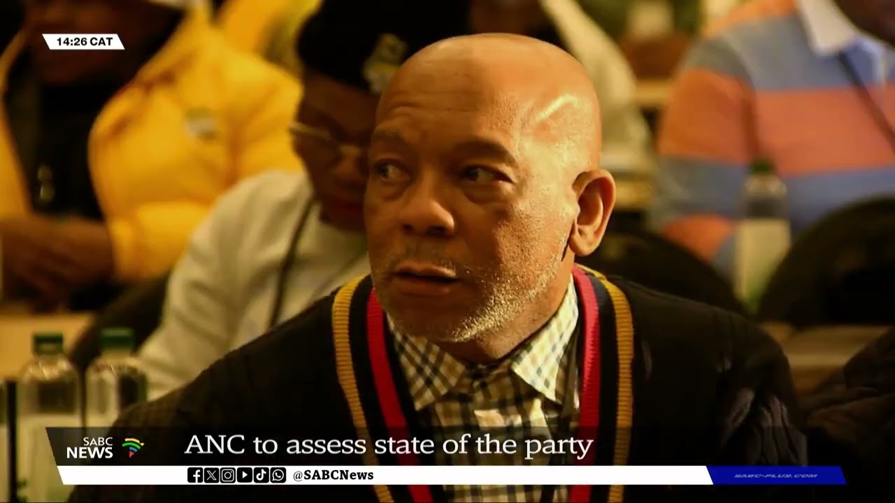 ANC NEC | Some provincial, regional structures may be chopped as party reassesses its fortunes