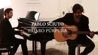 Pablo Sciuto - Pájaro Púrpura