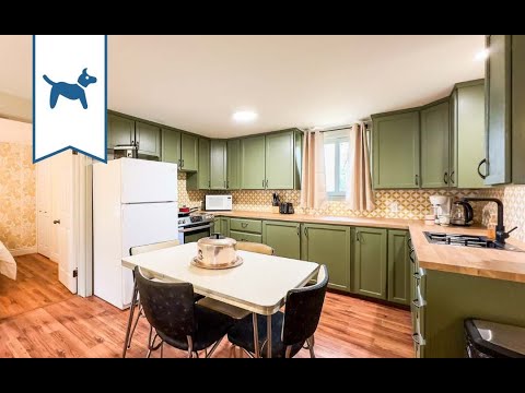 Property video