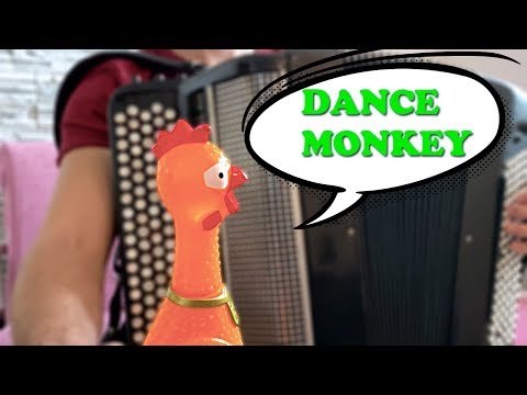 ACCORDIONMAN - Dance Monkey - Chicken and Accordion cover.