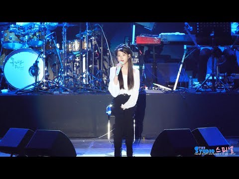 180519 아이유 '어른' (나의 아저씨 OST) 4K 직캠 IU fancam - Adult (홀가분 페스티벌) by Spinel