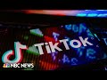 TikTok bans content promoting Bin Ladens Letter to America