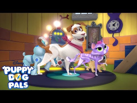 Playtime with Puppy Dog Pals'