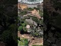 Landslide destroys back yards in California homes