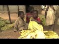 Des enfants au travail