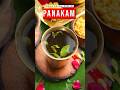 Rama Navami Special PANAKAM Recipe !!