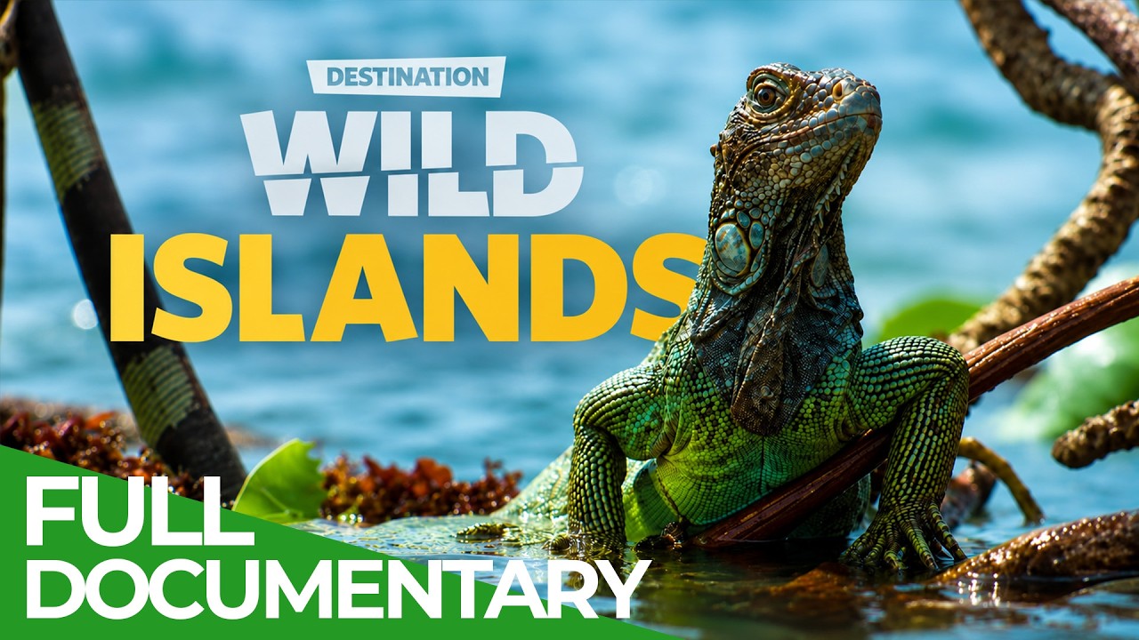Destination Wild: Wild Islands | Free Documentary Nature