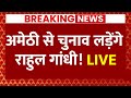 Live : Amethi से चुनाव लड़ेंगे राहुल गांधी | Rahul Gandhi | Breaking News Live