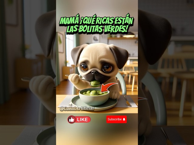 Las mejores bolitas de colores🤩😼🐶