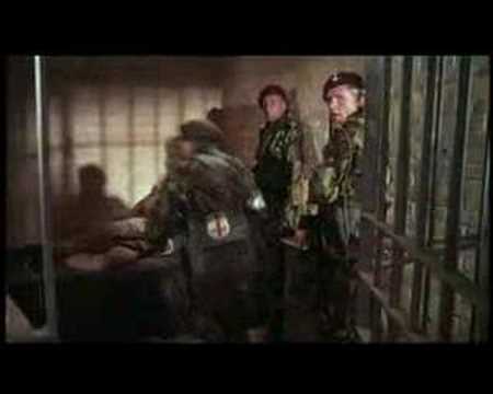 The Wild Geese'