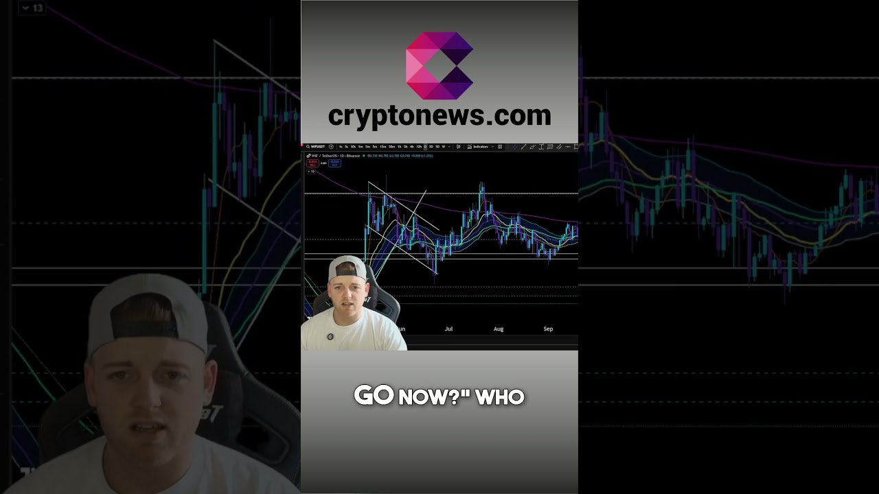 WIF Crypto Crash: Analyzing the Massive Downtrend shorts