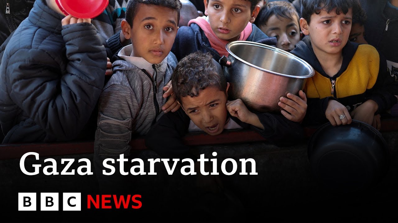 Evidence that Israel is using starvation as weapon of war in Gaza says UN | BBC News