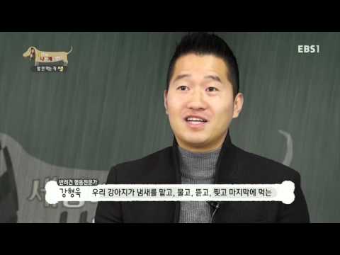 세상에 나쁜 개는 없다 - 밥 안 먹는 개 쌤_#002