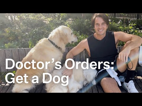 Совети од лекар: Зошто чувањето куче е добро за здравјето?