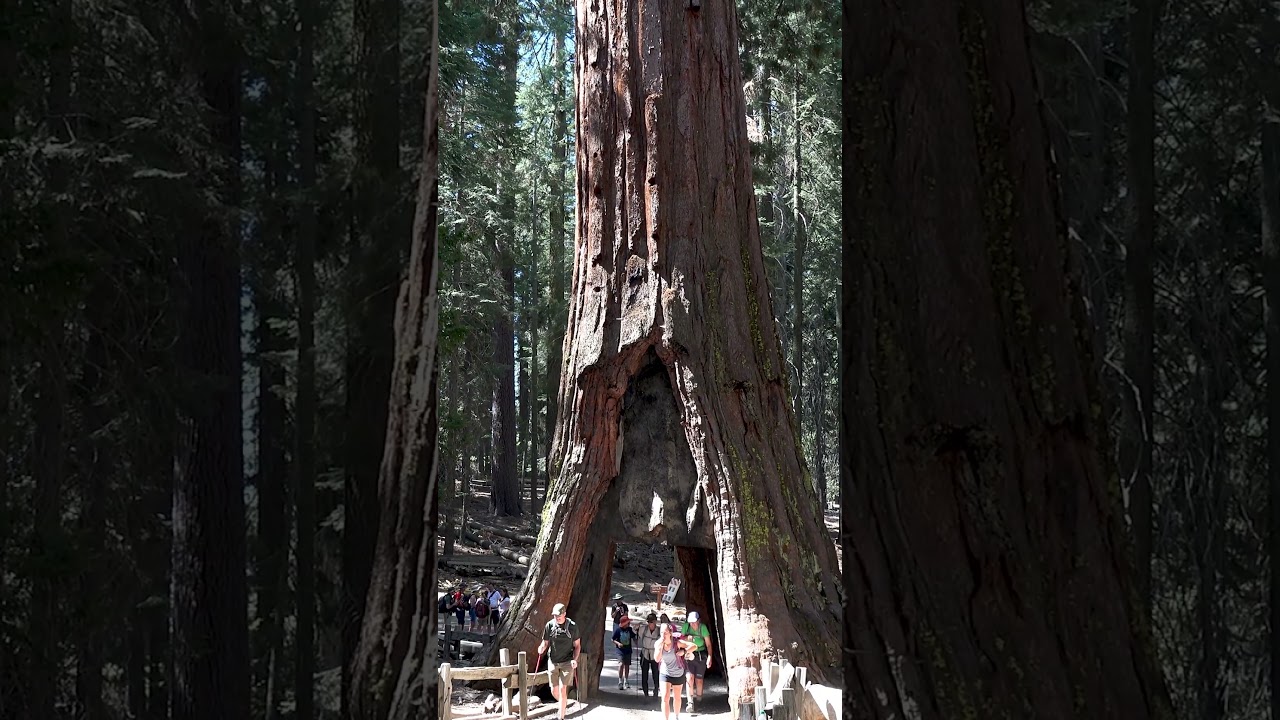 Yosemite National Park