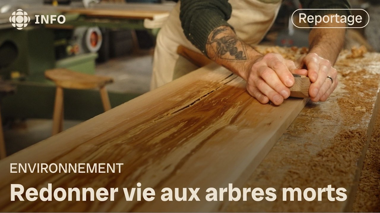 Un artisan transforme le bois des arbres émondés | La semaine verte
