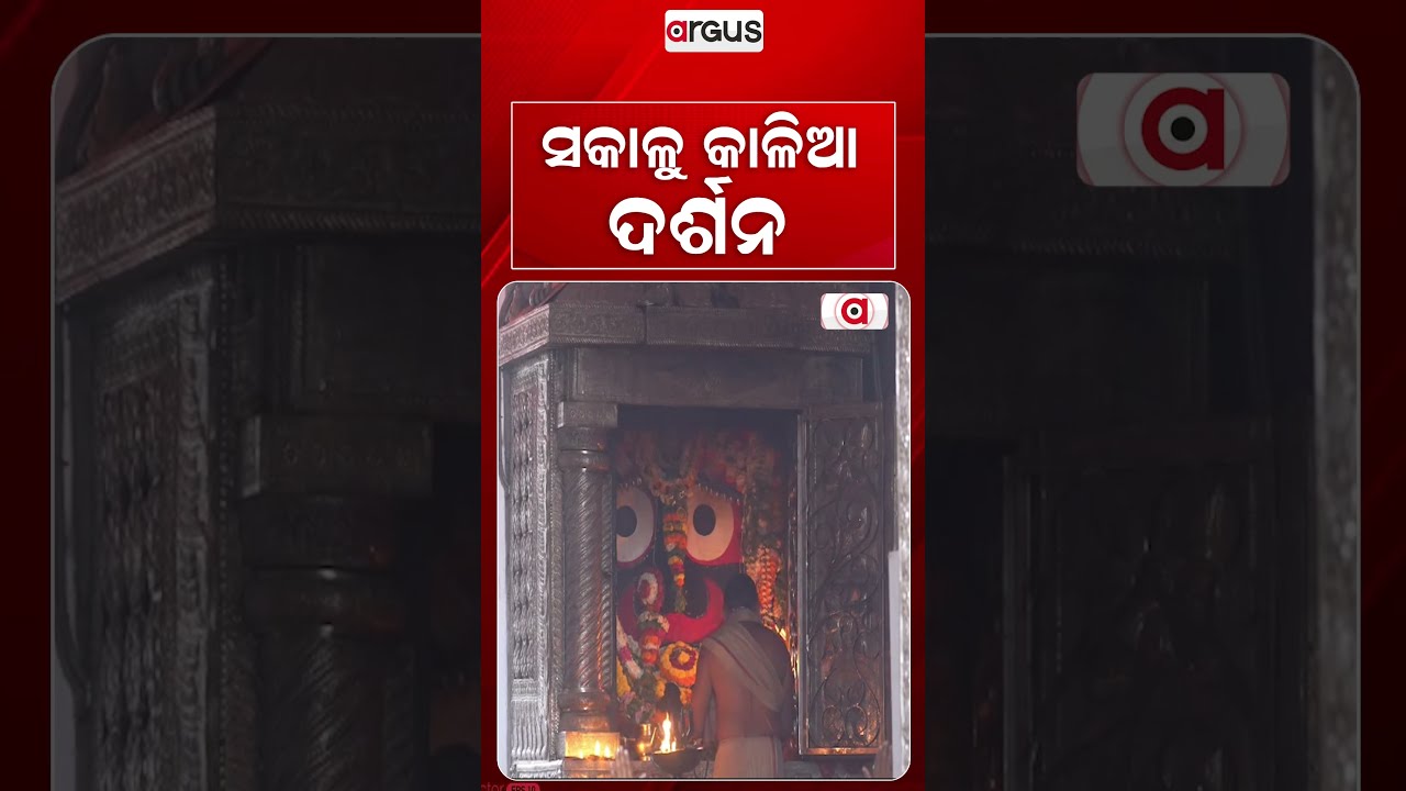 ସକାଳୁ କାଳିଆ ଦର୍ଶନ | Divine Morning Darshan Of Lord Jagannath In Puri Srimandir | Argus News