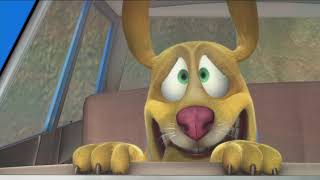 Mazan koky 32 - Ptci