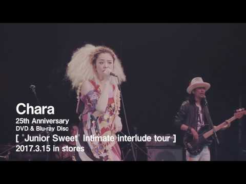 Chara 「“Junior Sweet” Intimate interlude tour」 トレイラー