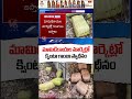 Police Officials Seized 1000 Kg Ganja In Mango Market In Kodad | Suryapet | V6 News